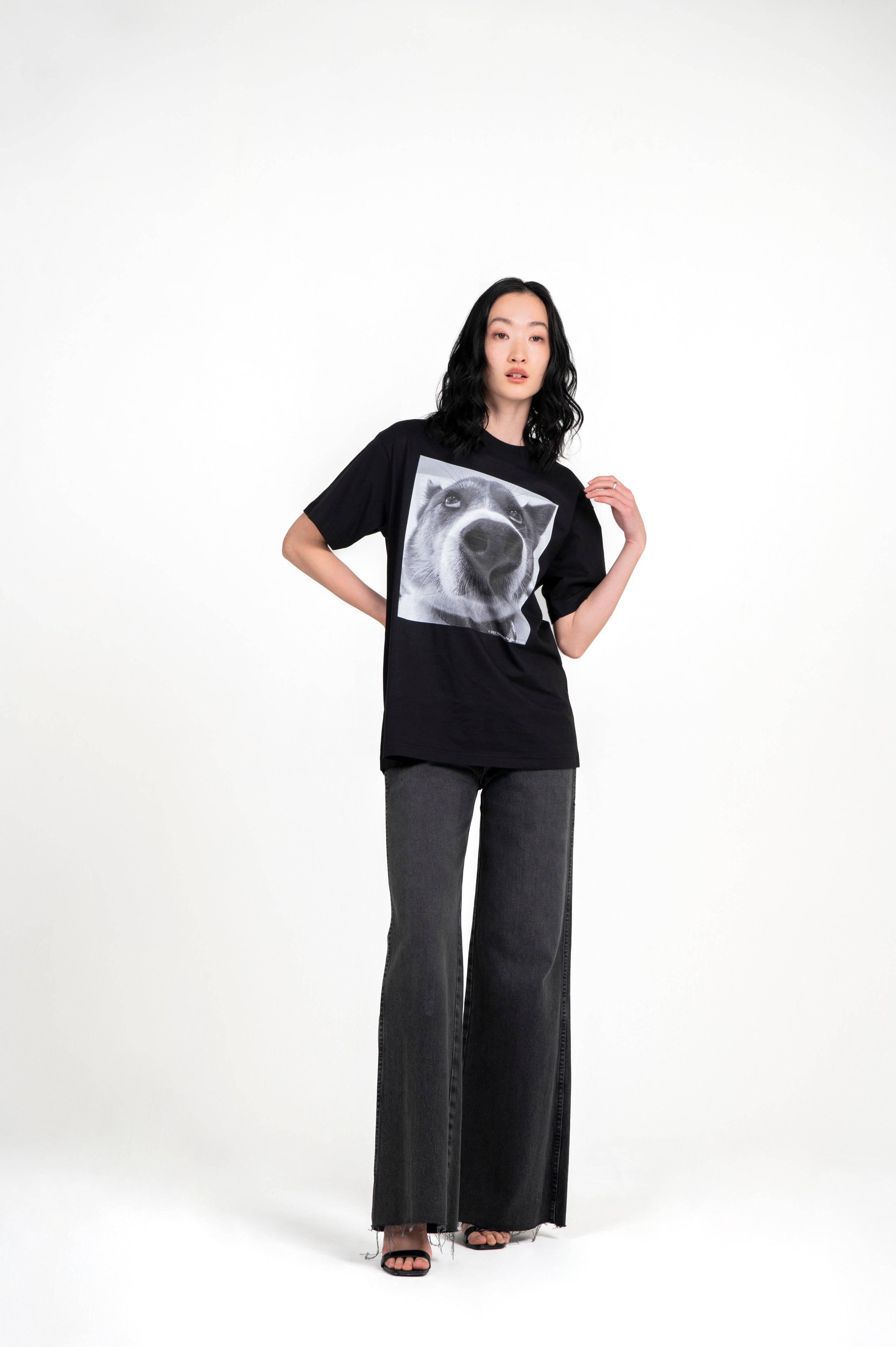 DOG PHOTO T-SHIRT BLACK