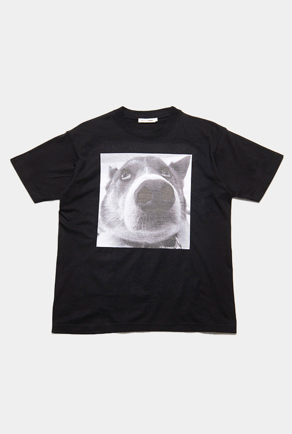 DOG PHOTO T-SHIRT BLACK