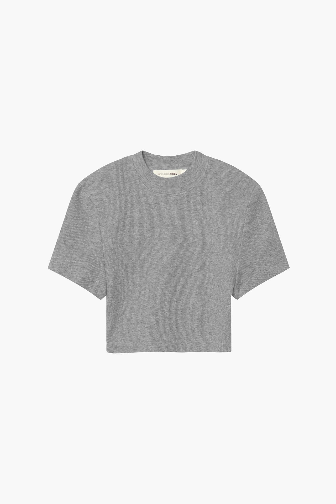 Neo Fitted Cropped Tee Gray