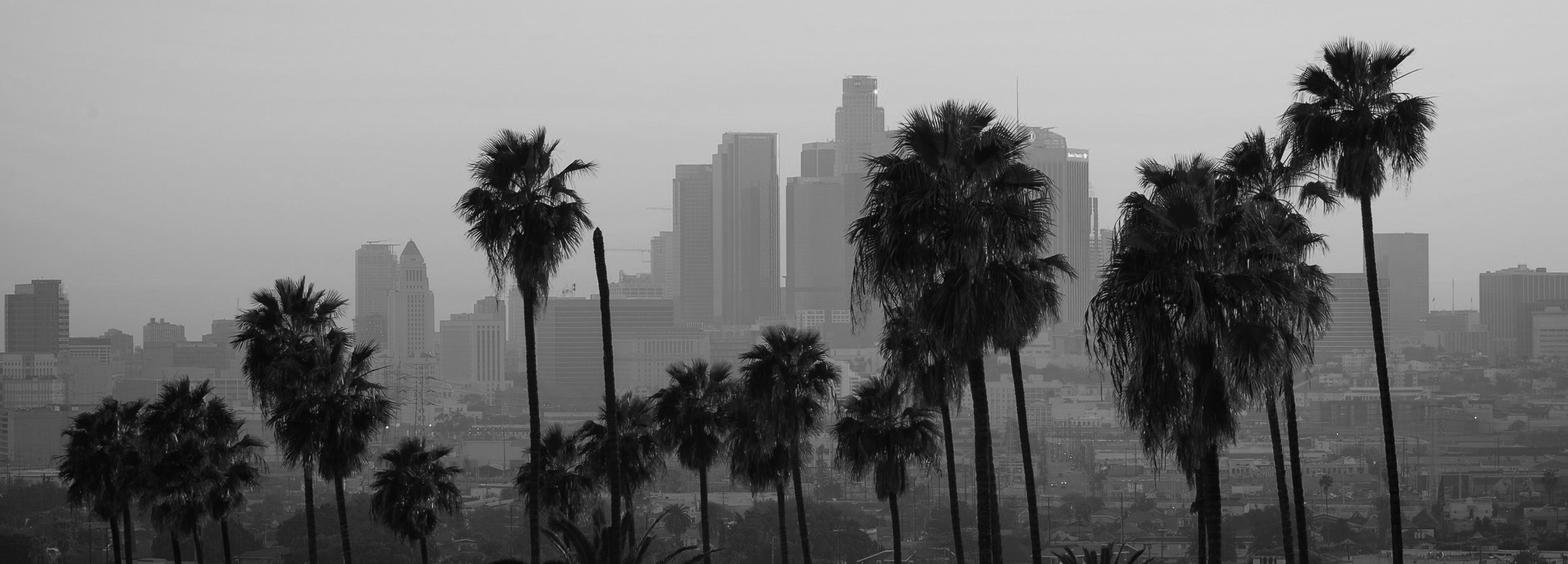Made in LA