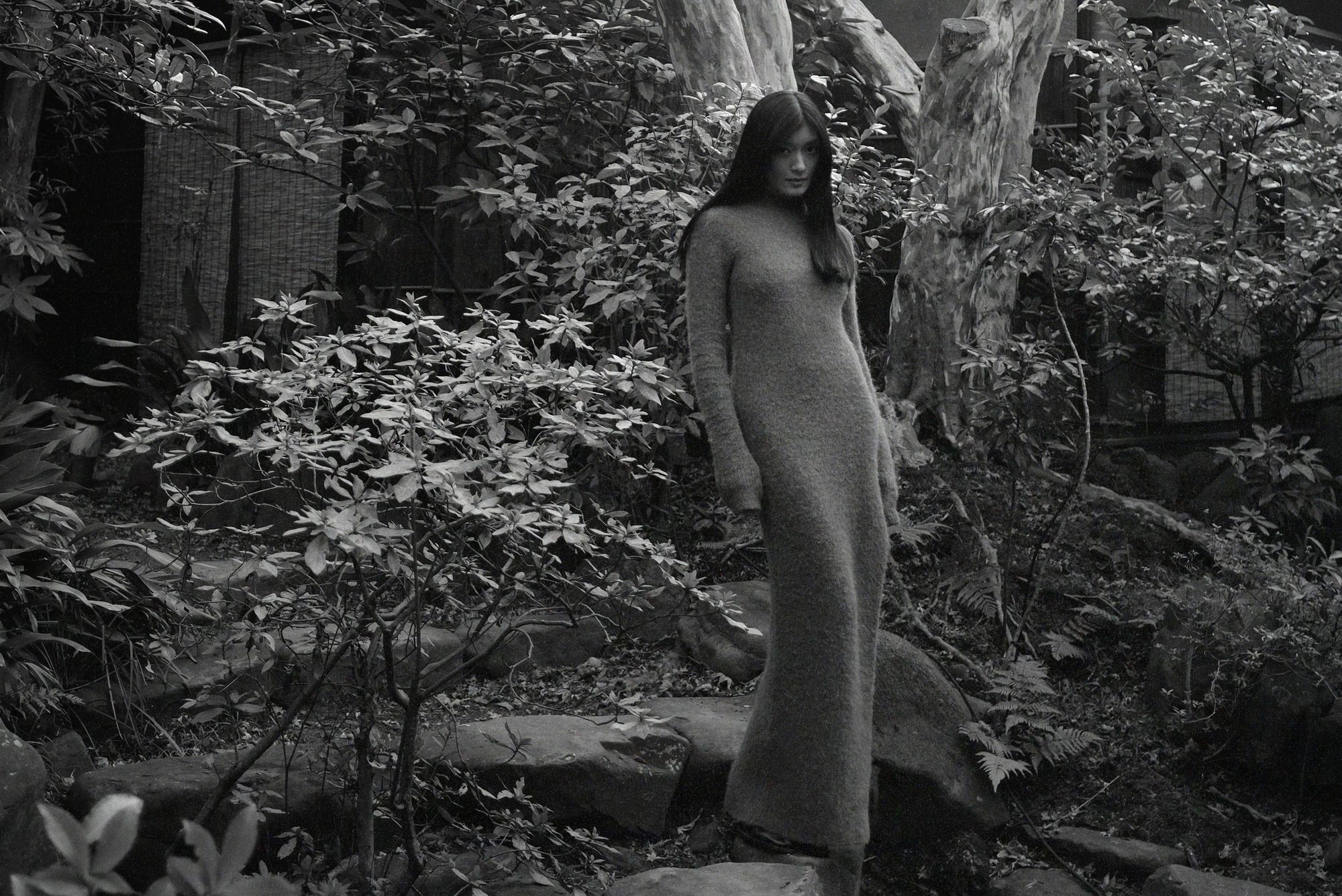 ローラ ブランド設立