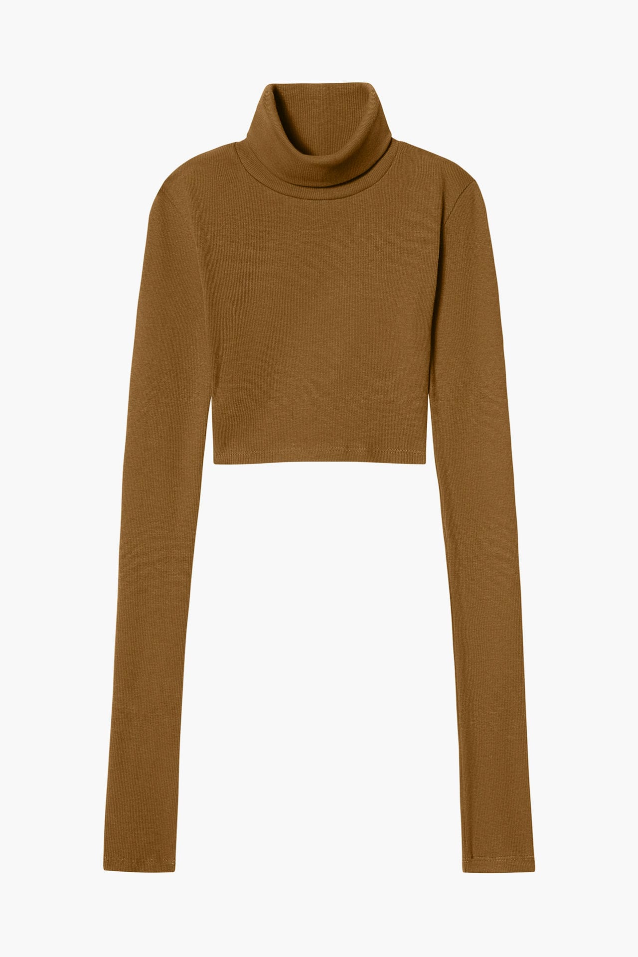 Neo Fitted Cropped Turtle Neck