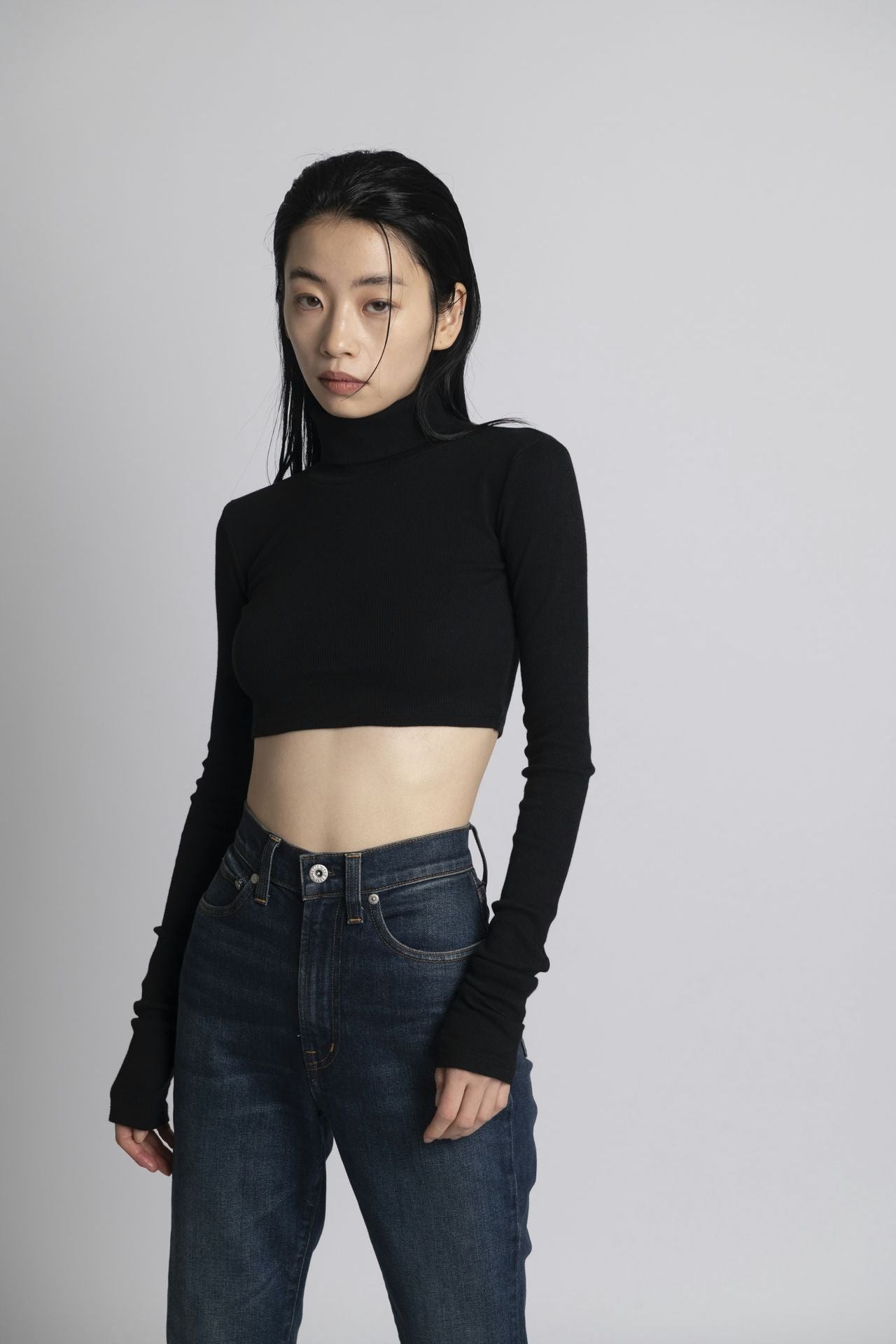 Neo Fitted Cropped Turtle Neck