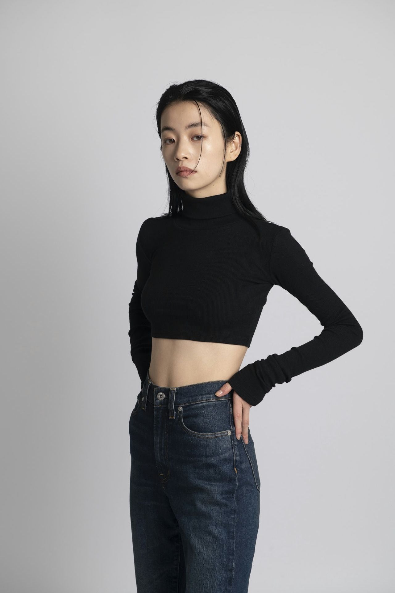 Neo Fitted Cropped Turtle Neck