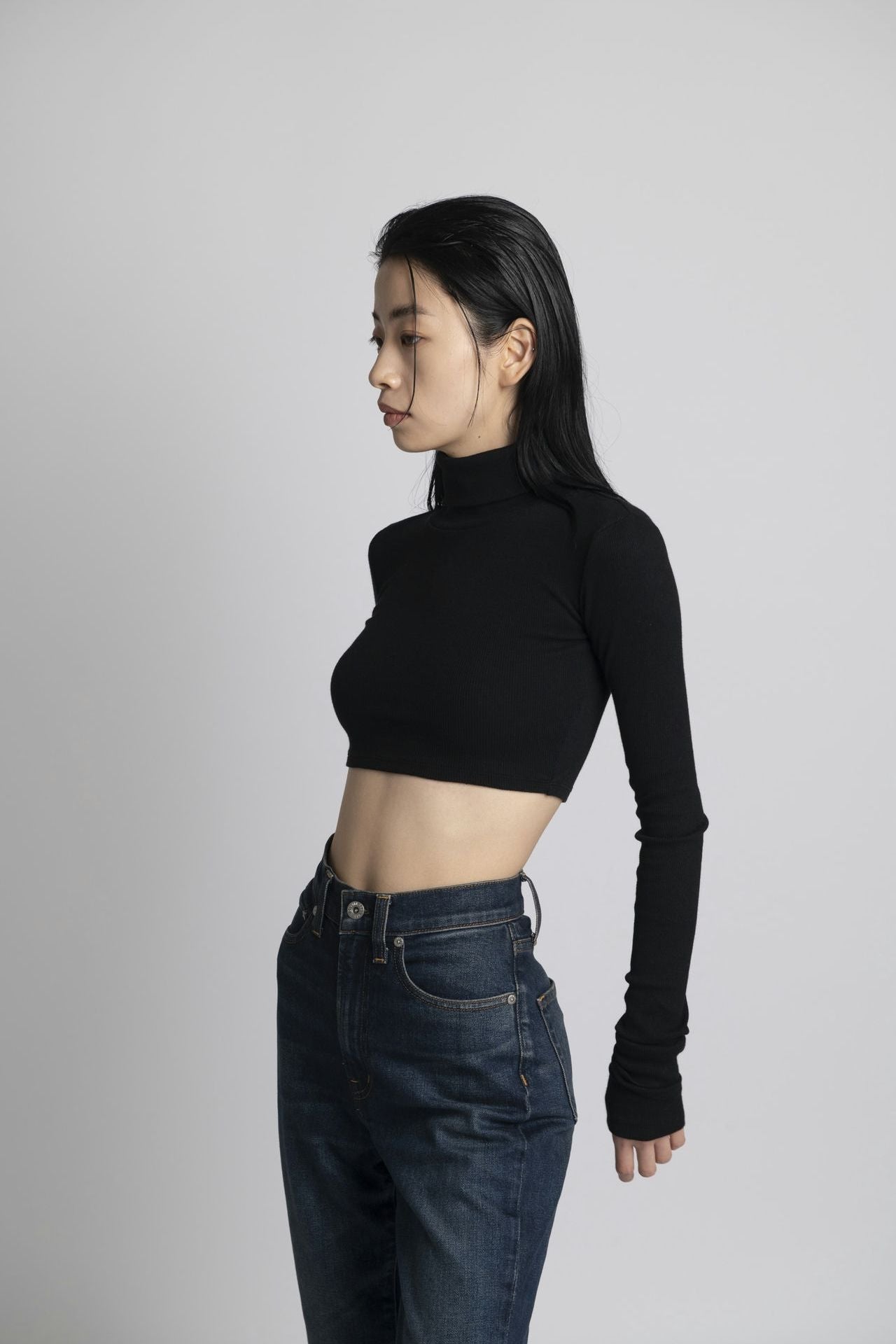 Neo Fitted Cropped Turtle Neck