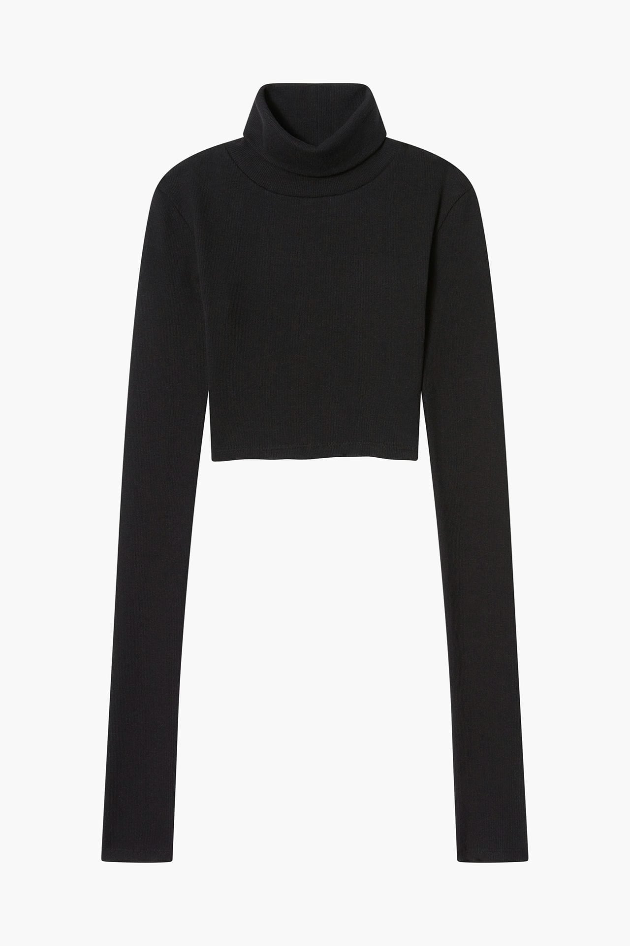 Neo Fitted Cropped Turtle Neck