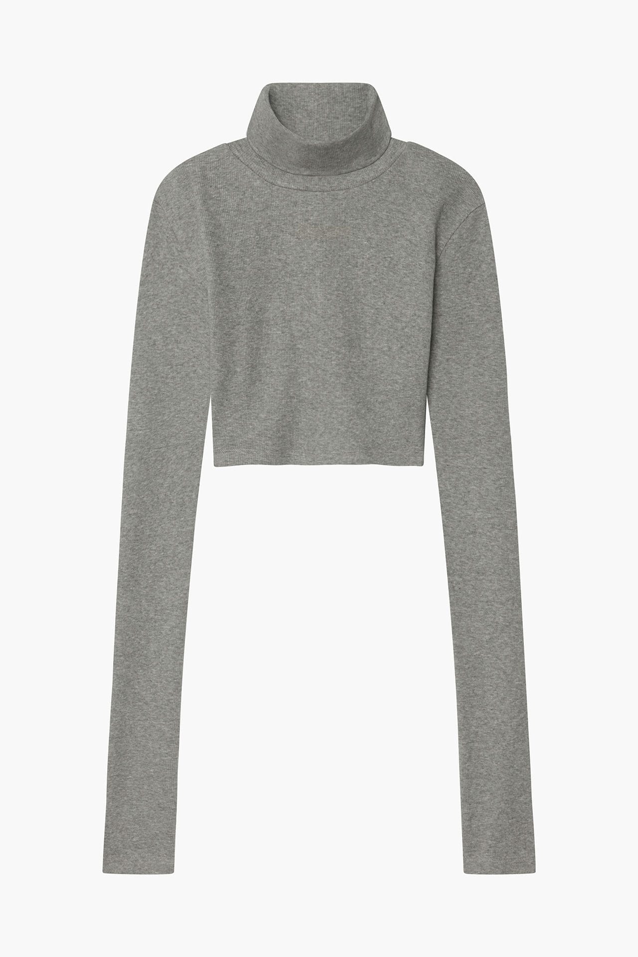 Neo Fitted Cropped Turtle Neck