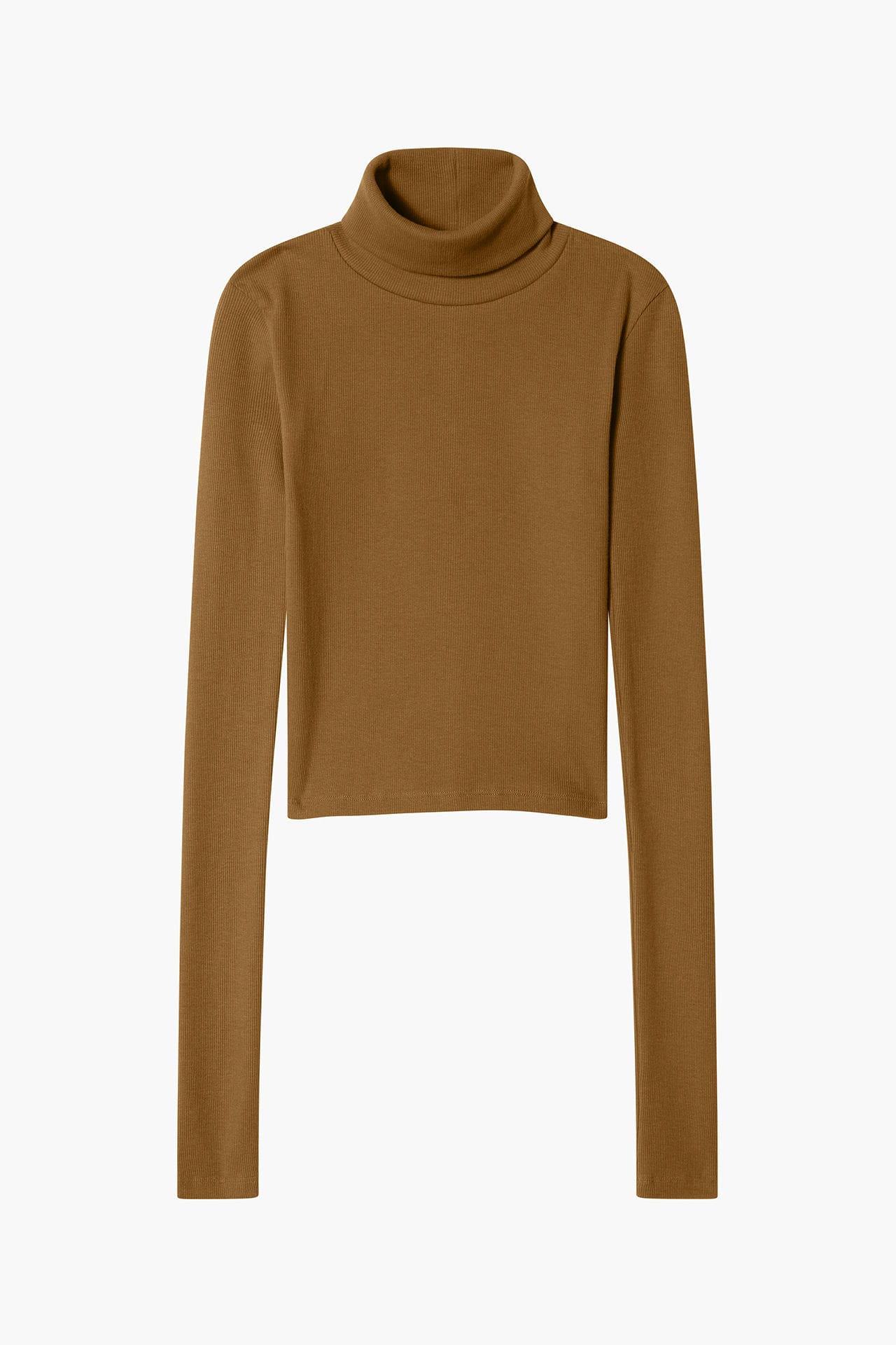 Neo Fitted Turtle Neck