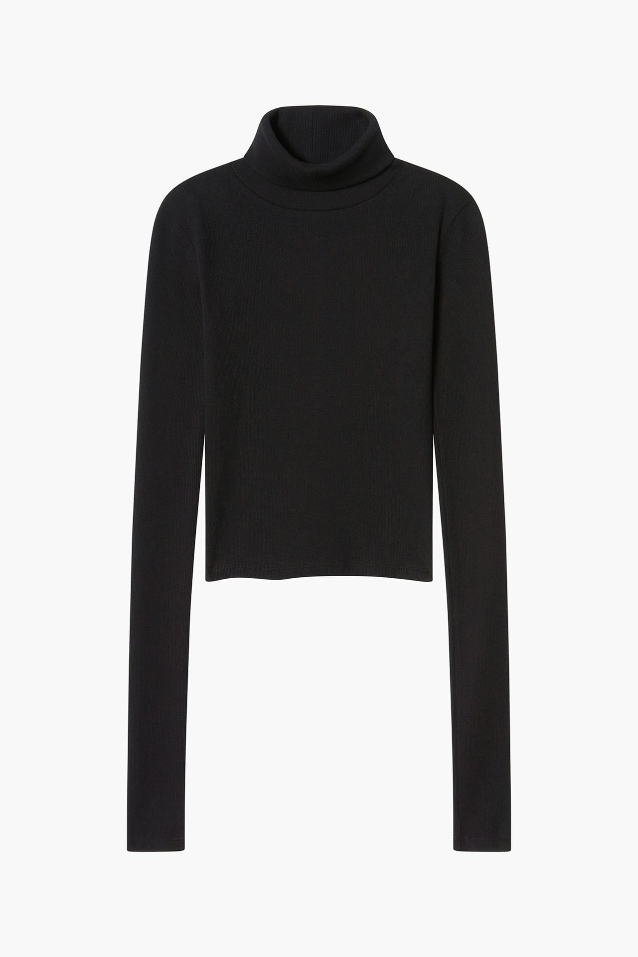 Neo Fitted Turtle Neck